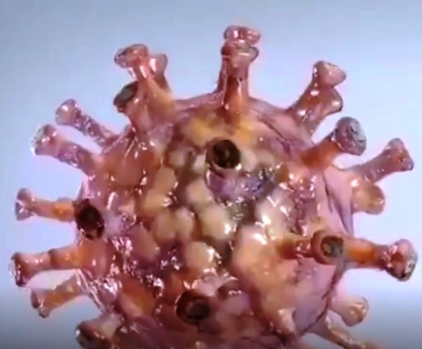 تغییر زمان آزمون های کارشناسی ارشد و دکتری سال 1399